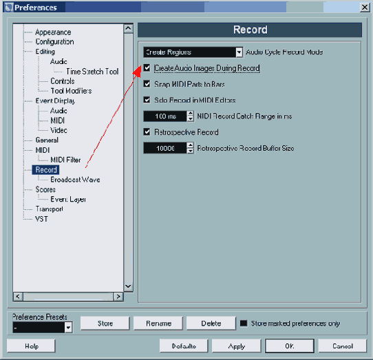  Create Images During Record